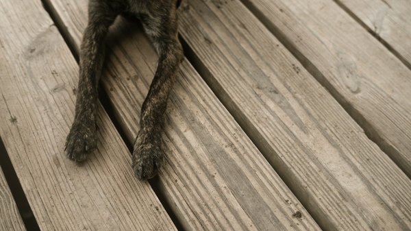 Comment installer un plancher chauffant dans une salle de bains sans soulever le sol existant?